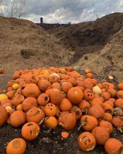 Pumpkin Drop Off